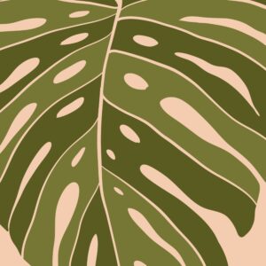 Hoja Monstera