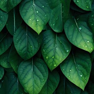 Textura de Lluvia Verde