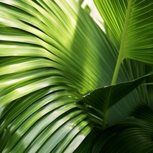 Verde Tropical Brillante